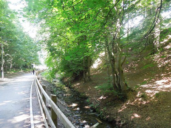 St Columb's Park